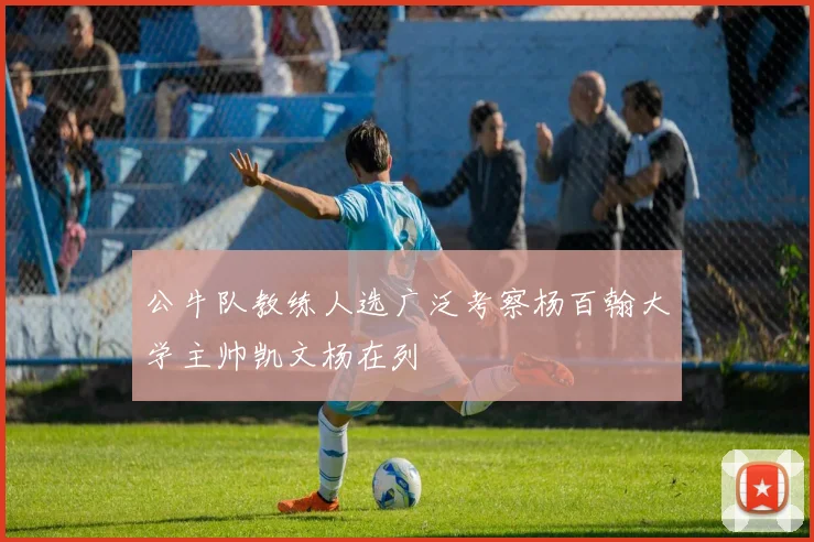 公牛队教练人选广泛考察杨百翰大学主帅凯文杨在列